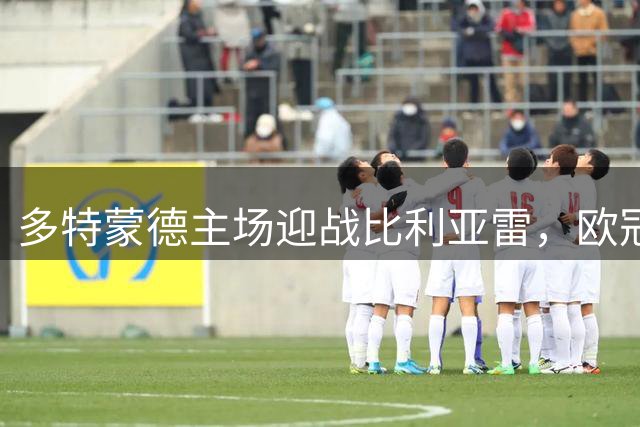 多特蒙德主场迎战比利亚雷，欧冠强强对话前瞻